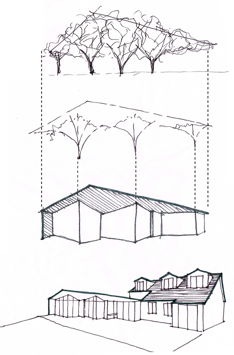 3 canopy concept T