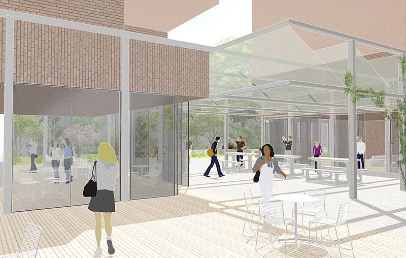 6 canopy development T