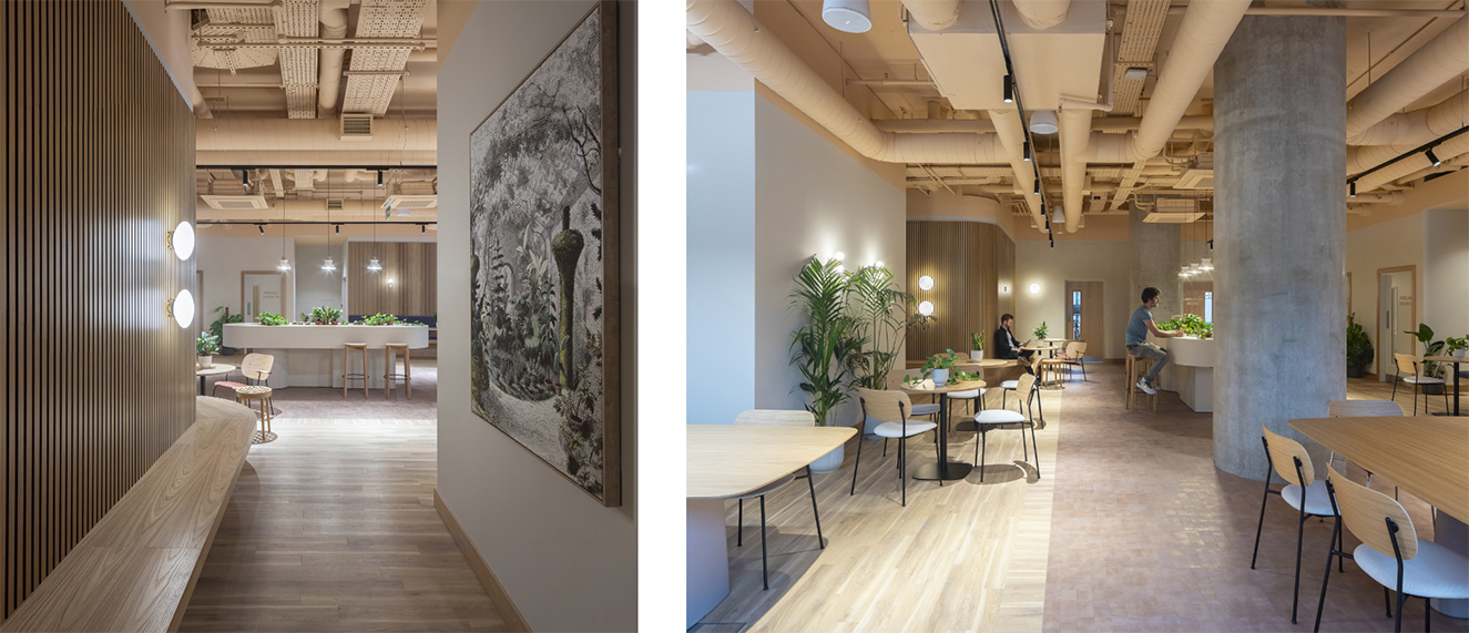 EnclaveCroyden Cameo 02 FS